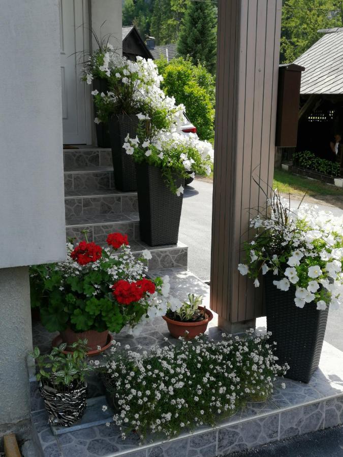 Apartma Simona Bohinj Dış mekan fotoğraf