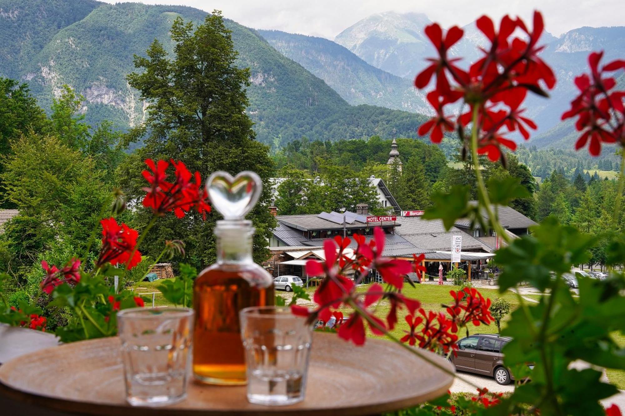 Apartma Simona Bohinj Dış mekan fotoğraf